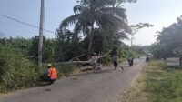 IMG-20260613-WA0020